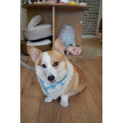 copy of Bandana - Coeur rouge