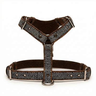 copy of HARNAIS POUR CHIEN...