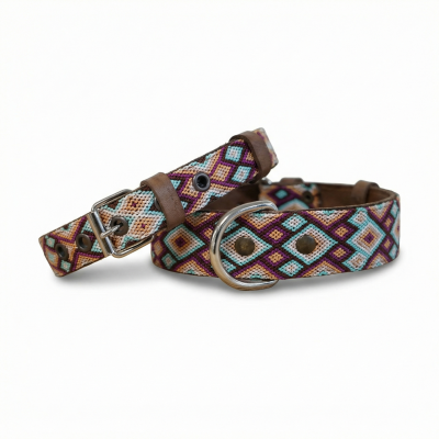 copy of COLLIER POUR CHIEN...