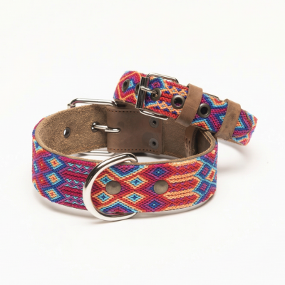 copy of COLLIER POUR CHIEN...