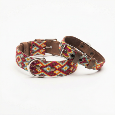 copy of COLLIER POUR CHIEN...