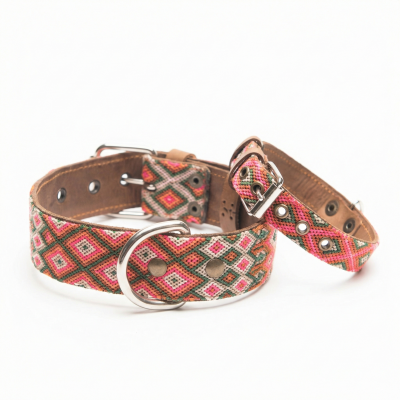 copy of COLLIER POUR CHIEN...