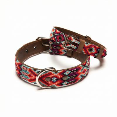 copy of COLLIER POUR CHIEN...