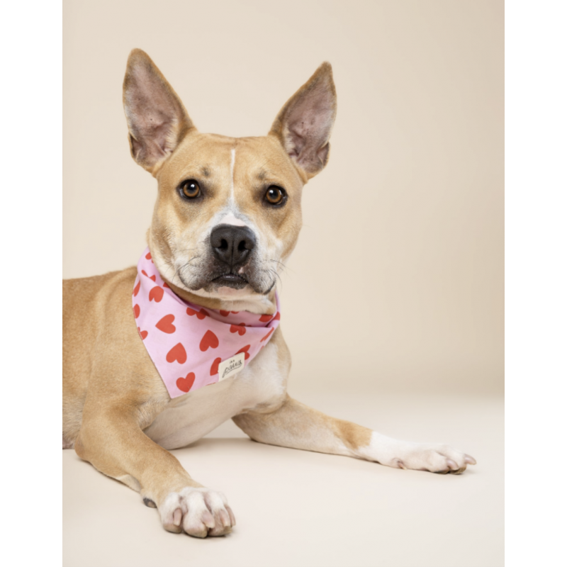 Bandana - Coeur rouge - photo 2