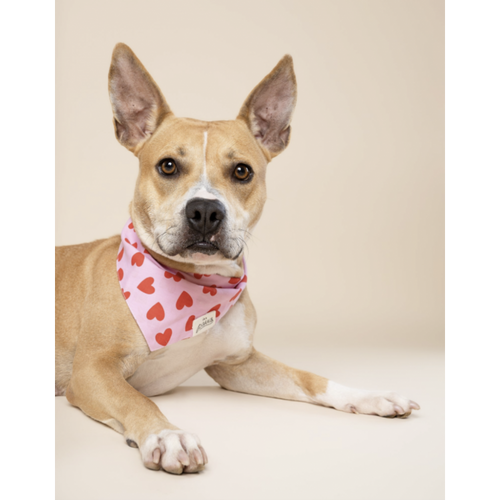 Bandana - Coeur rouge - photo 2