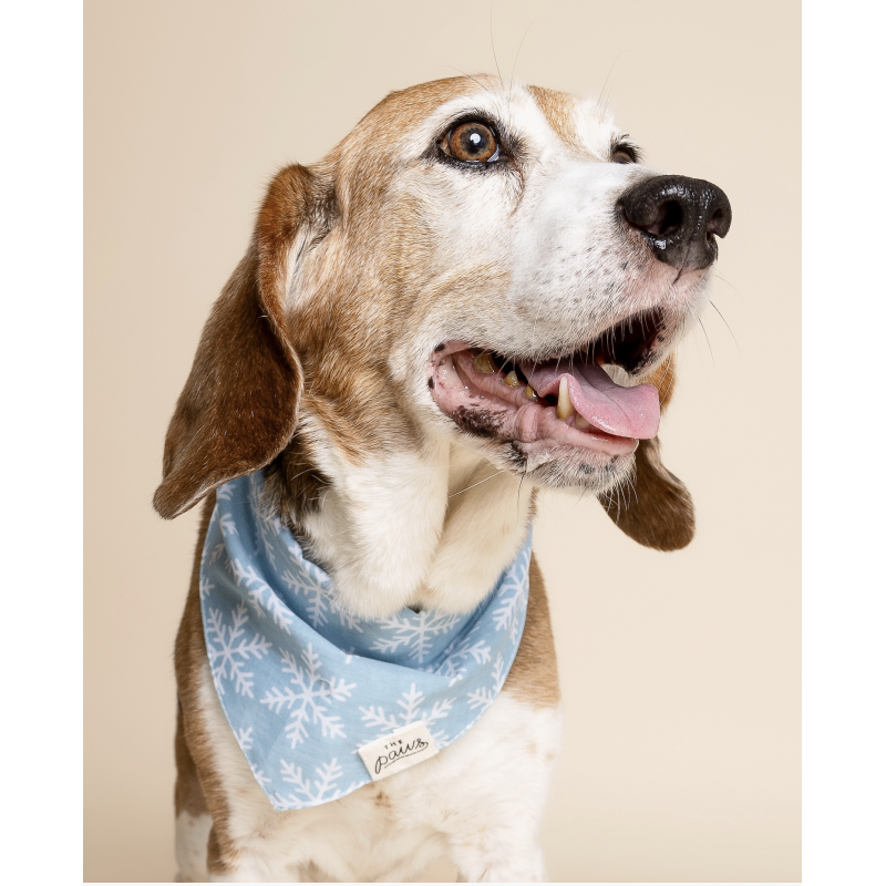 Bandana - Flocon - photo 2