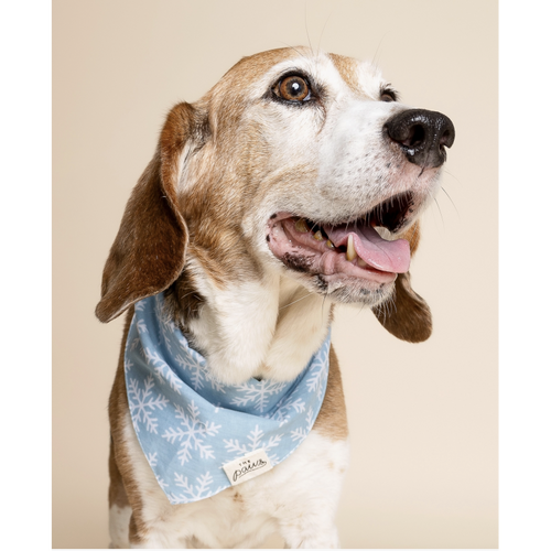 Bandana - Flocon - photo 2