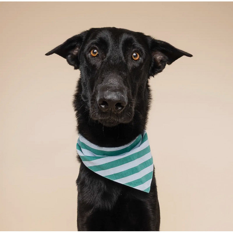 Bandana - Ligné bleu - photo 2
