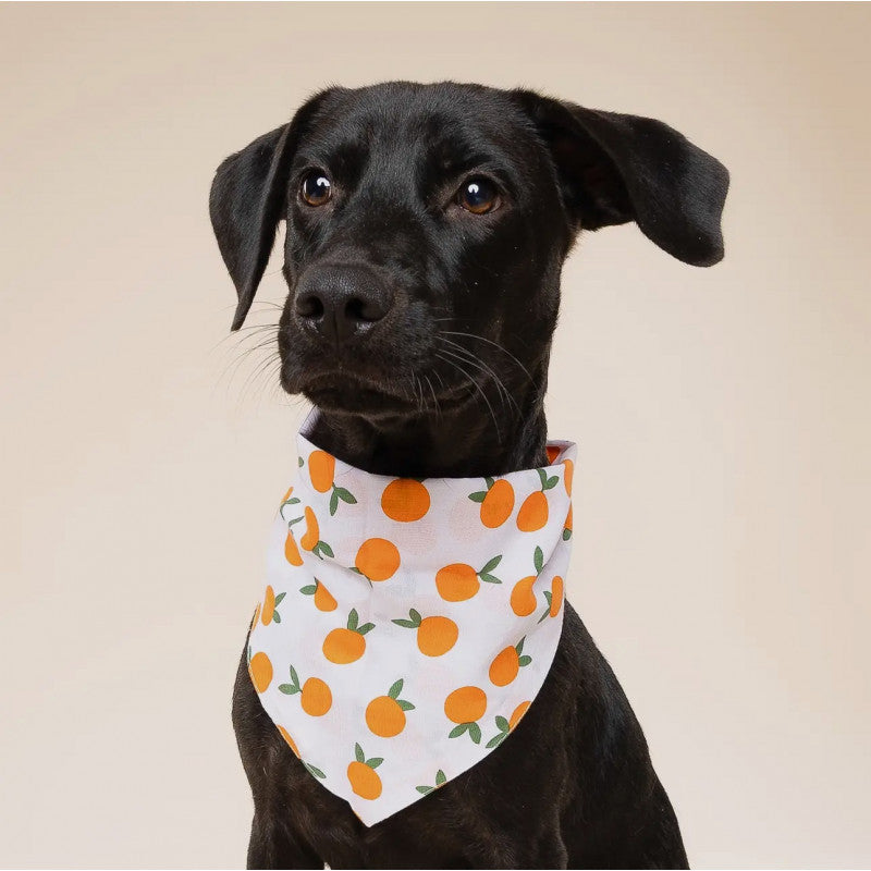 Bandana - Mandarine - photo 2
