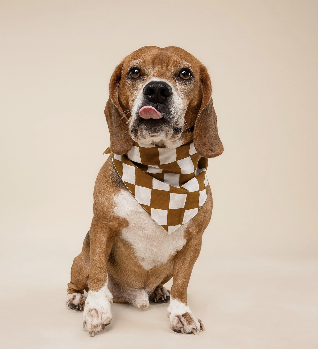 Bandana - Quadrillé caramel