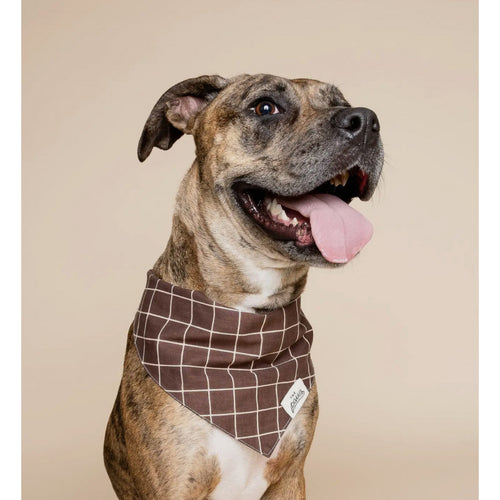 Bandana - Quadrillé marron - photo 2
