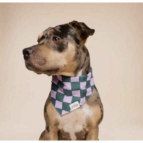 Bandana - Quadrillé mauve - photo 2