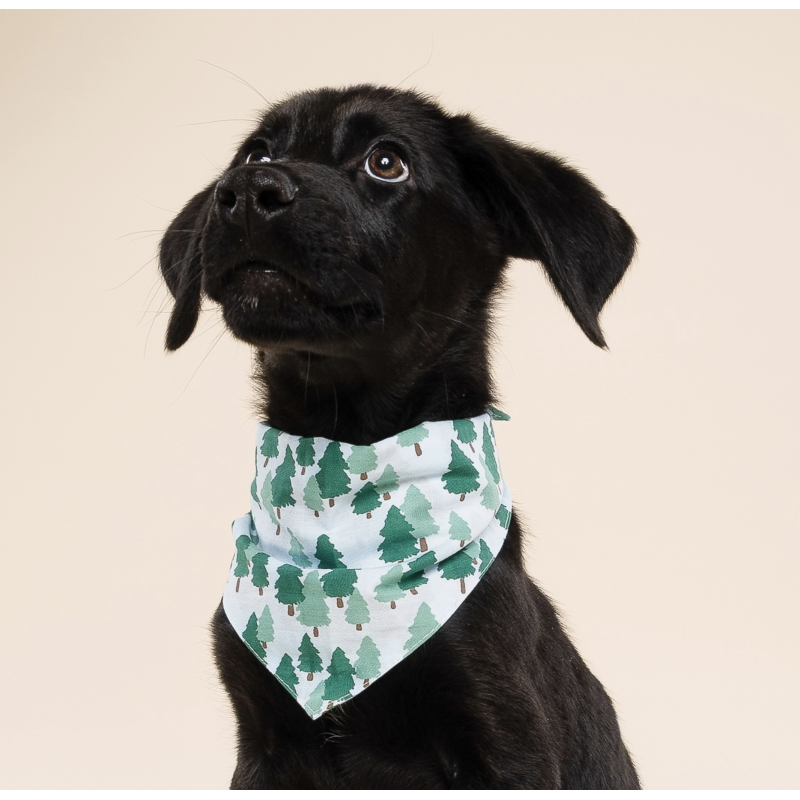 Bandana - Sapin - photo 2
