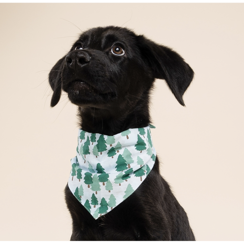 Bandana - Sapin - photo 2