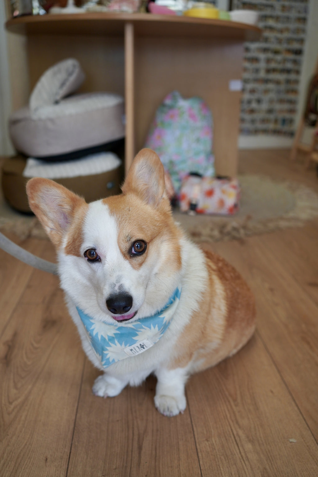 Bandana - Soleil bleu