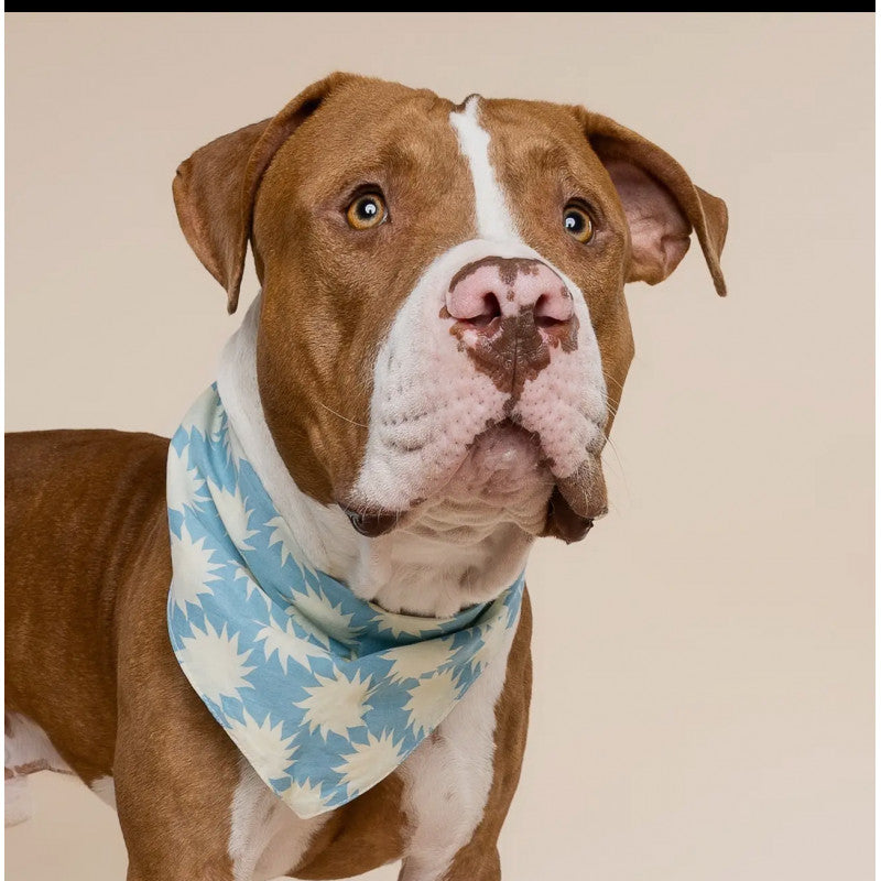 Bandana - Soleil bleu - photo 3