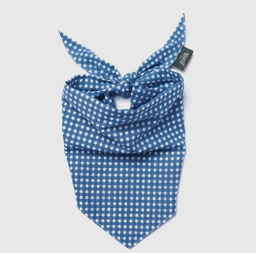Bandana - Vichy bleu