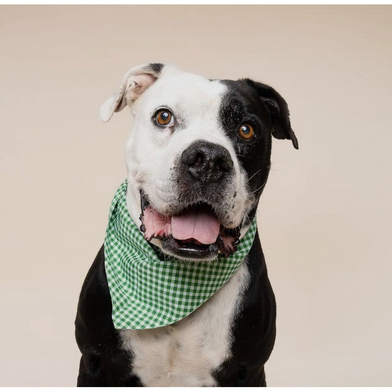 Bandana - Vichy vert - photo 2