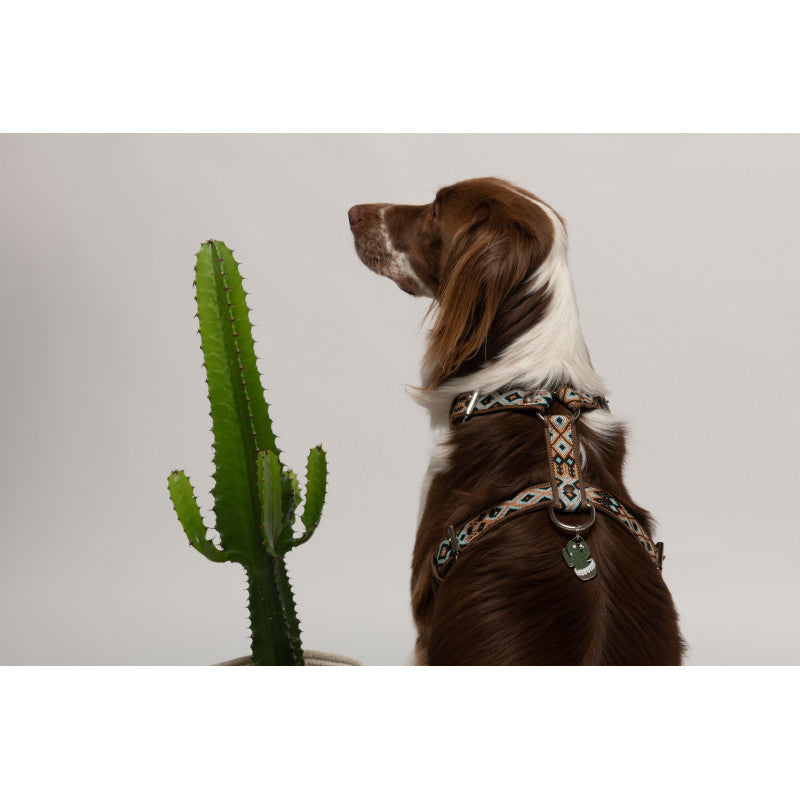 Médaille cactus pour chien - photo 2