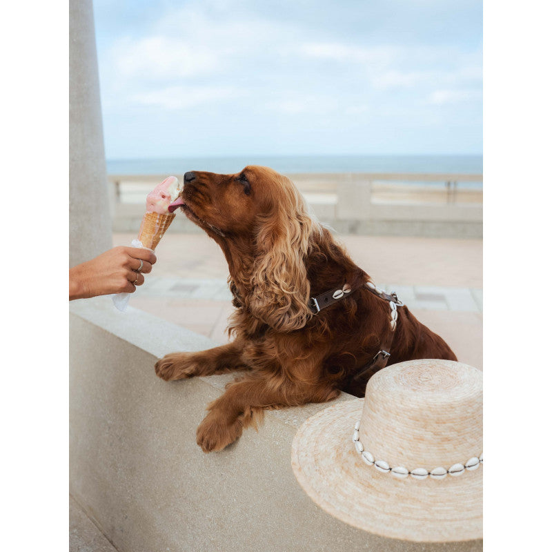 Chapeau paille - photo 4