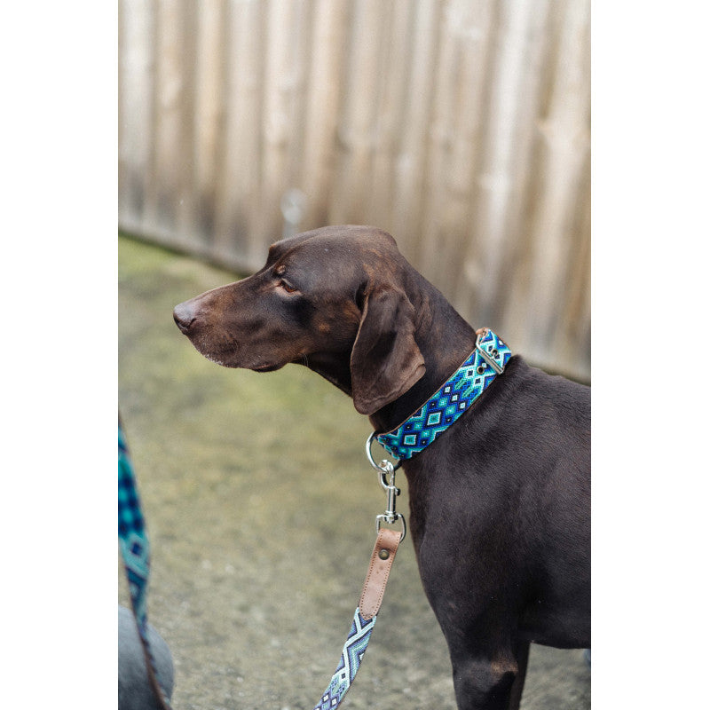 Collier - Bacalar - photo 3