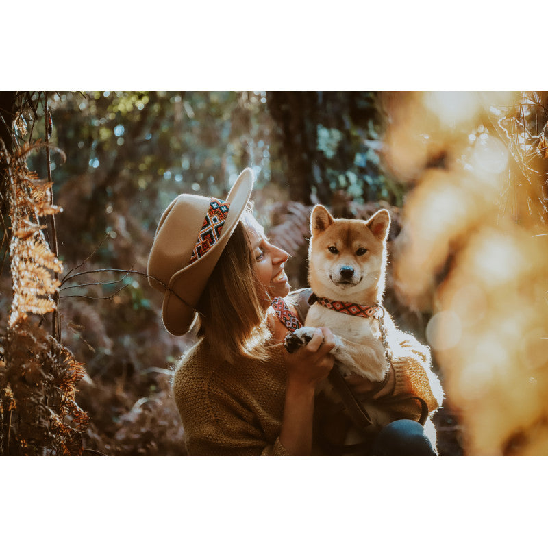 Collier - Campêche - photo 3