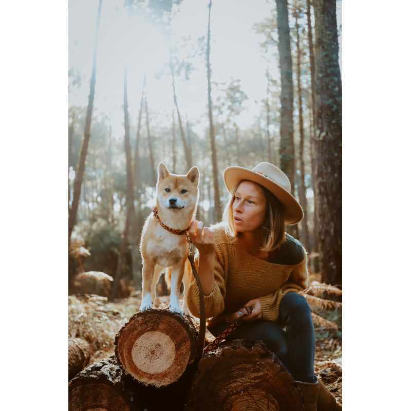 Collier - Guanajuato - photo 3