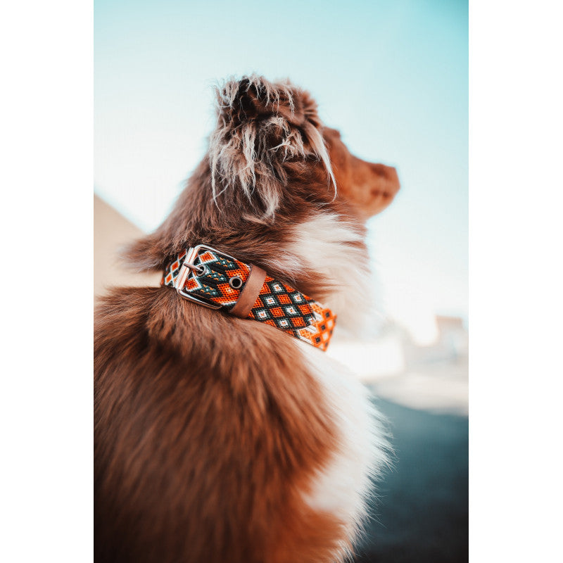 Collier - Guanajuato - photo 2