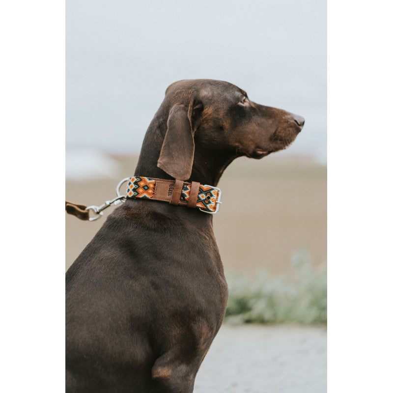 Collier - Guanajuato - photo 4