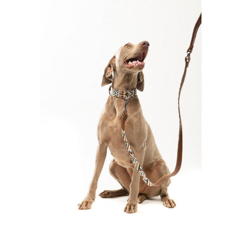 Collier - Holbox - photo 4