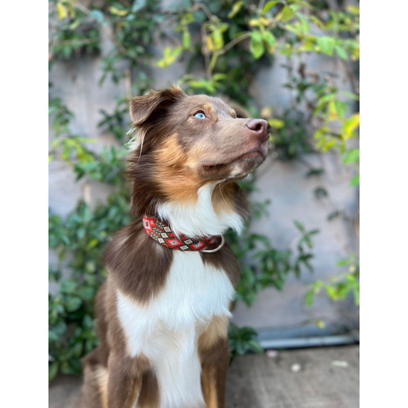 Collier - Mazunte - photo 3