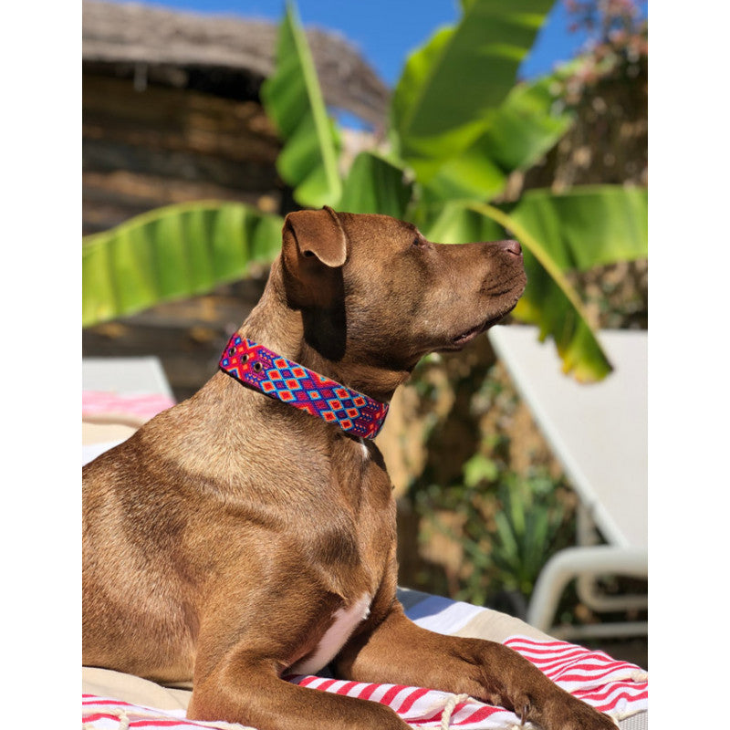 Collier - Merida - photo 3