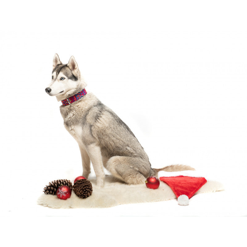 Collier - Merida - photo 2