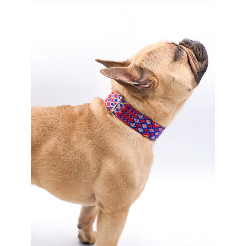 Collier - Merida - photo 4