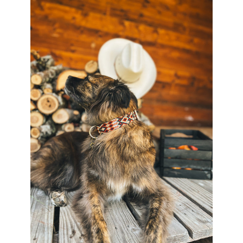 Collier - Navidad - photo 2