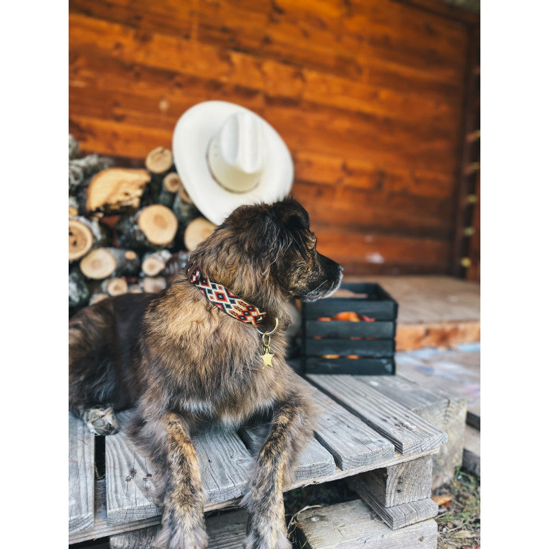 Collier - Navidad - photo 3