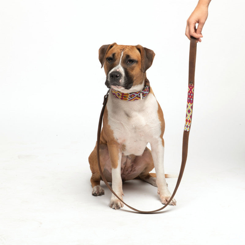 Collier - Pachuca - photo 3