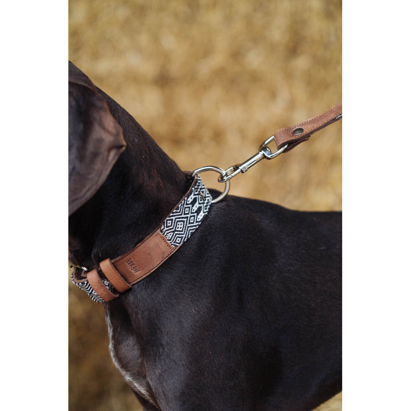 Collier - Puebla - photo 4