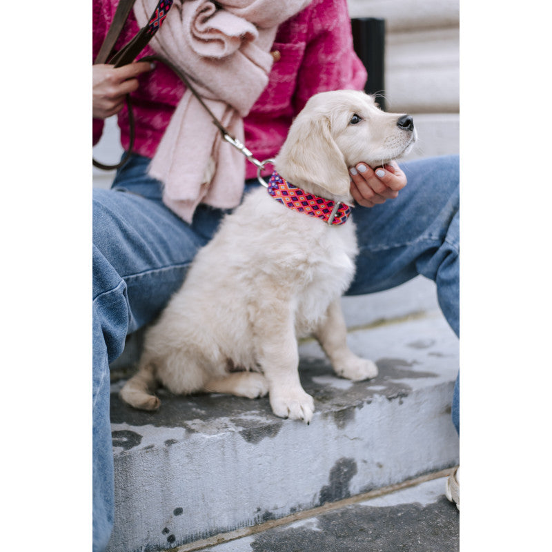 Collier - Rio Lagartos - photo 2