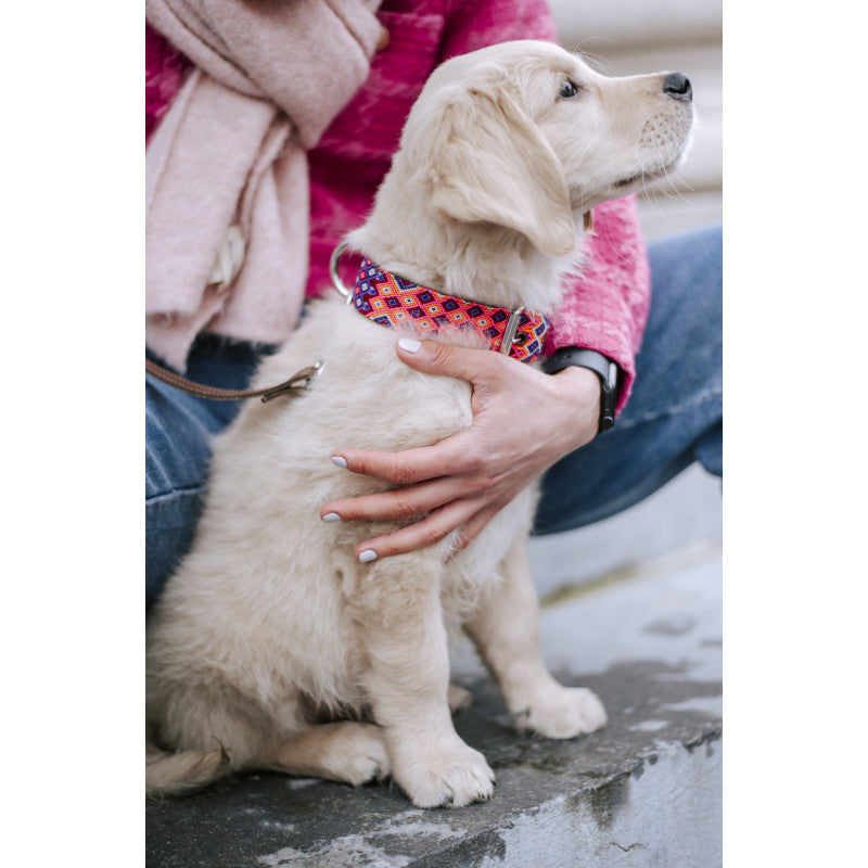 Collier - Rio Lagartos - photo 3