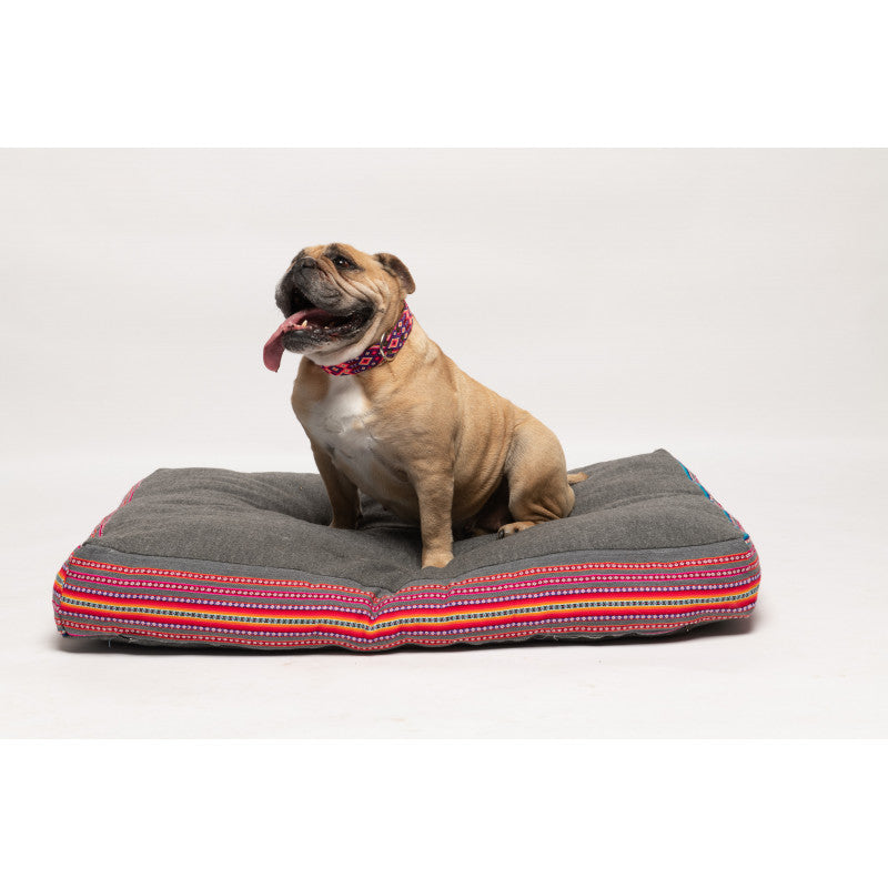 Collier - Rio Lagartos - photo 4