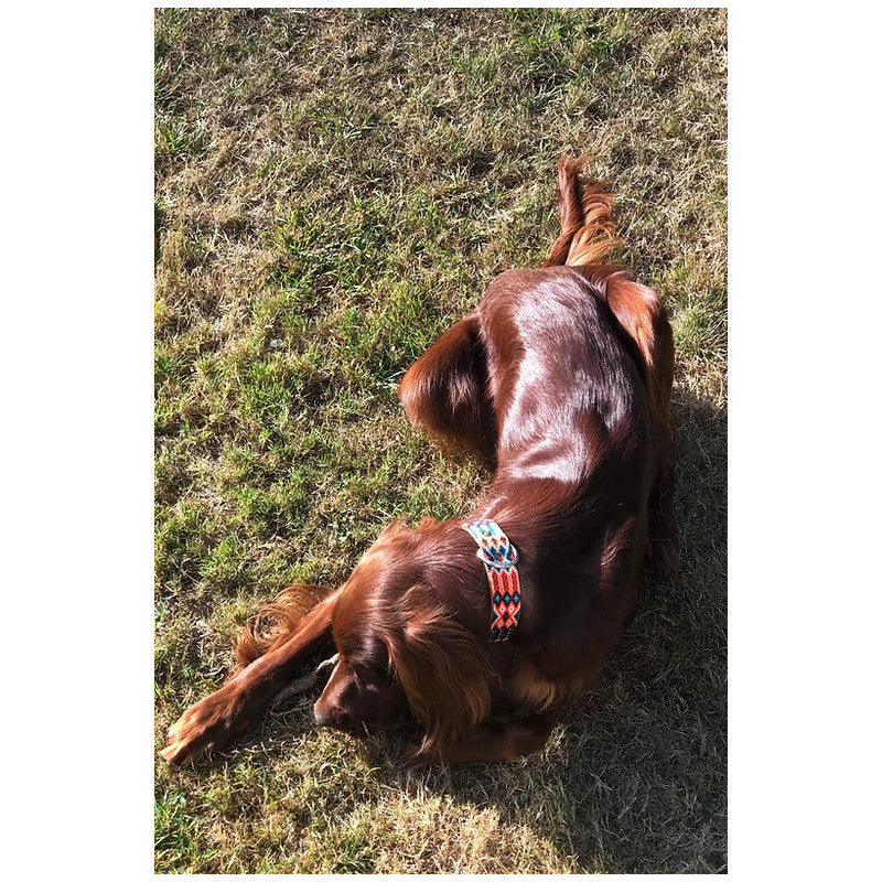 Collier - San Pancho - photo 2