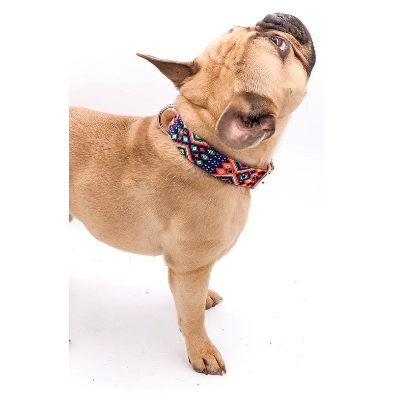 Collier - San Pancho - photo 4