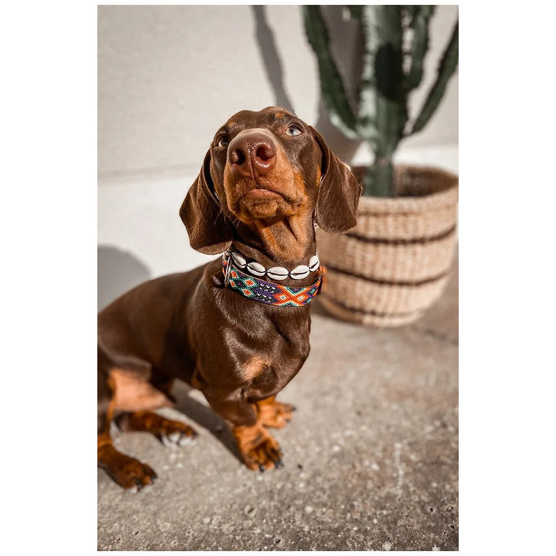 Collier - San Pancho - photo 3