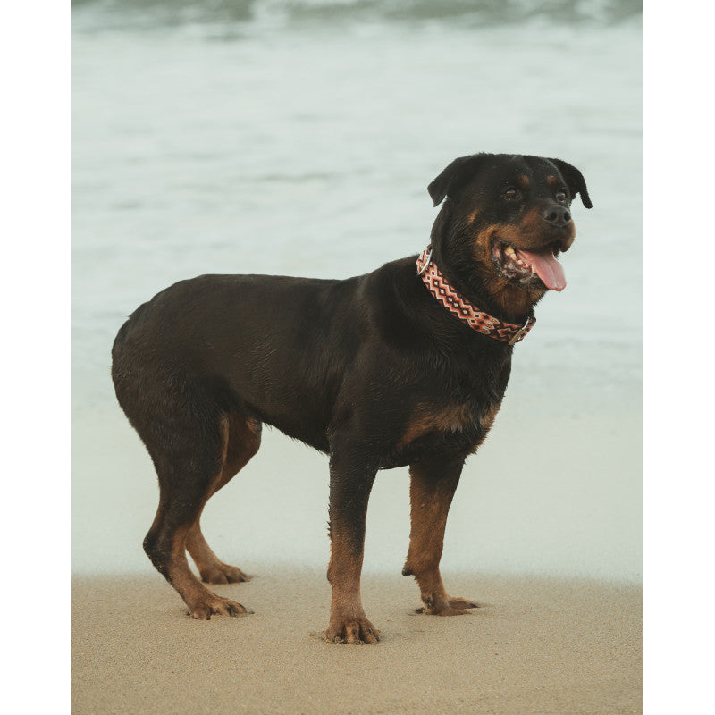 Collier - Sayulita - photo 4