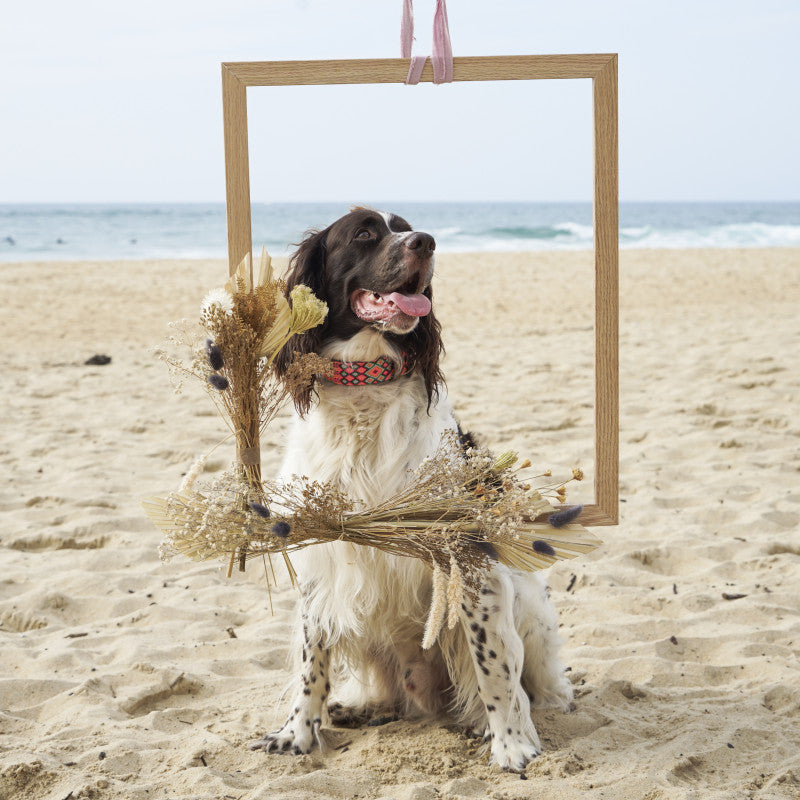 Collier - Todos Santos - photo 4