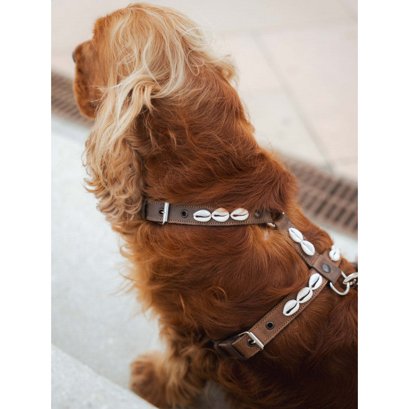 Harnais coquillages - photo 4