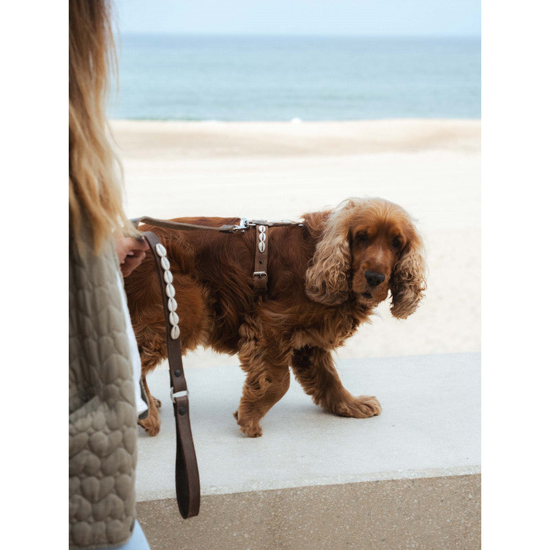 Harnais coquillages - photo 3