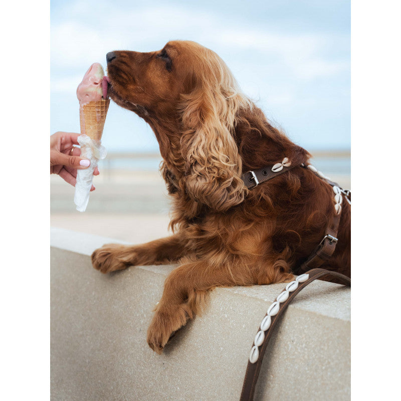 Harnais coquillages - photo 2