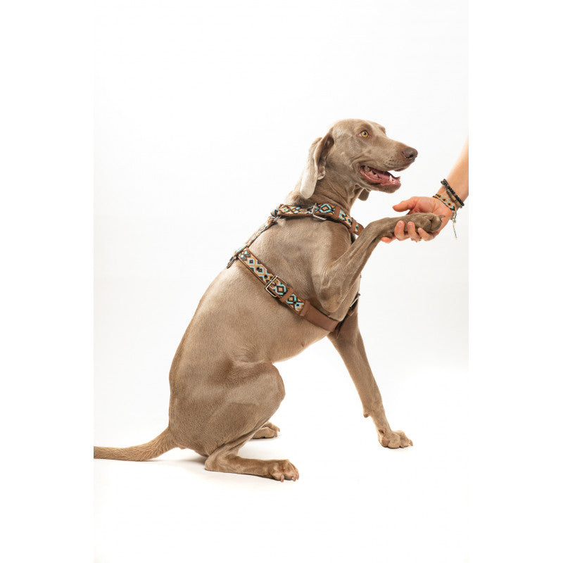 Harnais - Holbox - photo 3